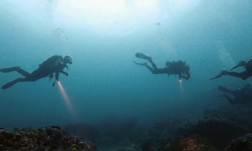 Image 5: Explore Monterey Bay Habitats With Guided Scuba Tours