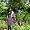 Image 1: Explore Vibrant Butterfly House, Fascinating Reptiles, & much more