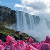 Image 4: Niagara Falls Day Trip from New York City with Amigo Tours