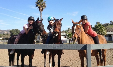 JULY 6-10 Horseback riding camp at Miller Equestrian - Miller Equestrian Services
