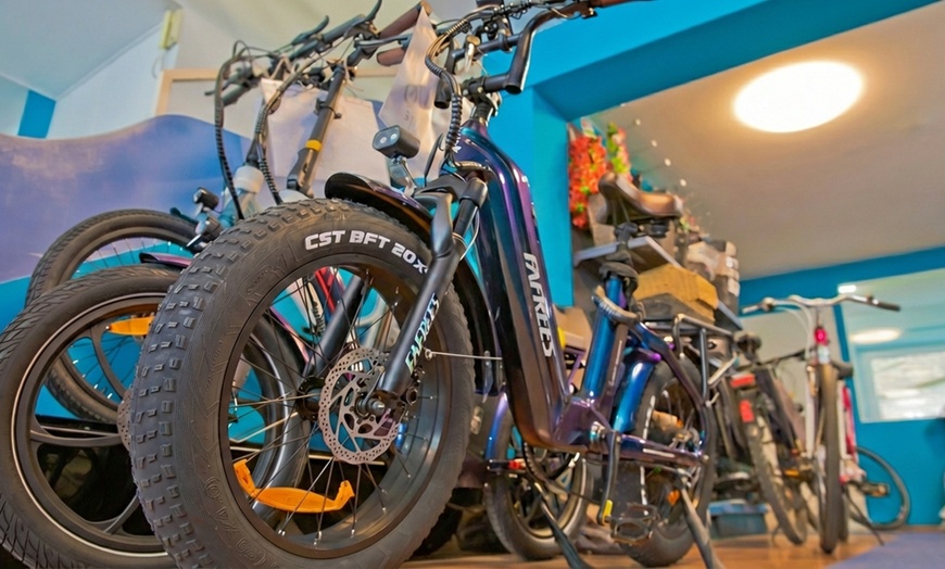 Image 3: Fahrrad-Inspektion oder Reinigung für Fahrrad-, E-Bike- oder Lastenrad