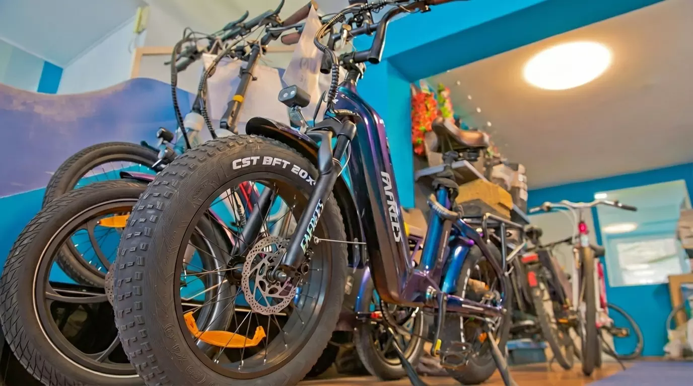 Fahrrad-Inspektion oder Reinigung für Fahrrad-, E-Bike- oder Lastenrad