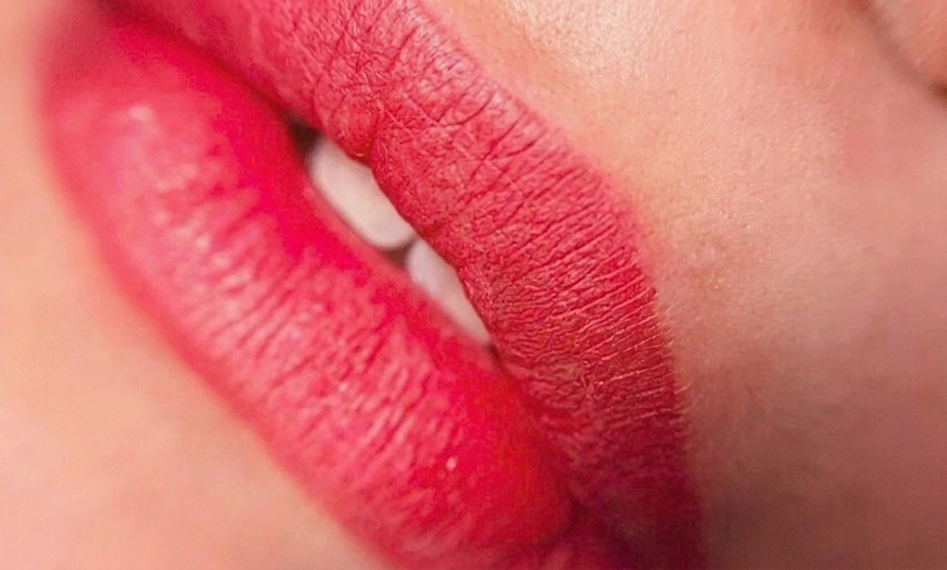 Image 2: Ombre Powder Brows or Lip Blushing Session