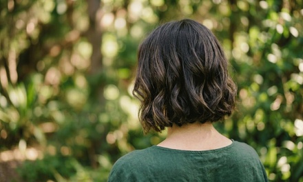 Haircut, Condition, and Style - The Look Salon