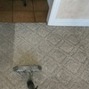 Image 4: Carpet Cleaning Services with Deodorizing