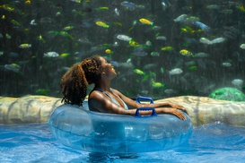 LIMITED TIME OFFER! Save up to 55% on Aquatica Orlando Deals