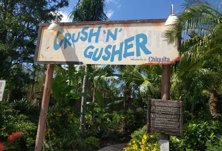 Disney's Typhoon Lagoon Water Park