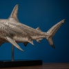 Image 6: SharkCon Admission Tickets