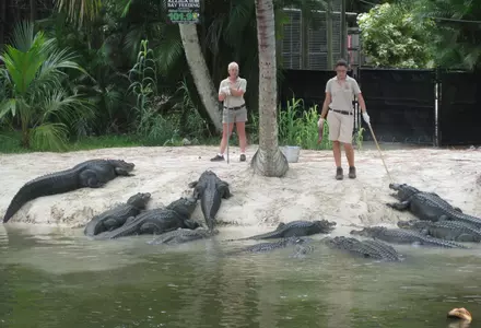 Naples Zoo at Caribbean Gardens
