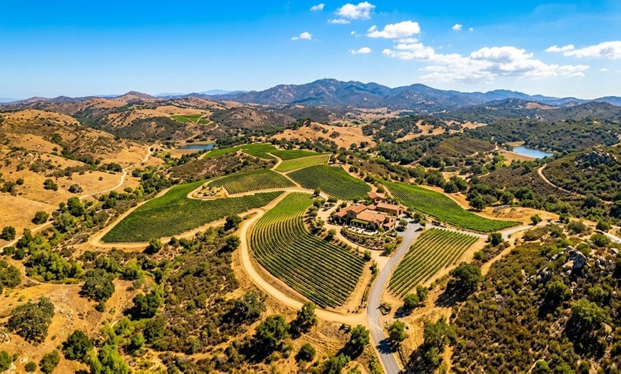 Image 2: Wine Tasting and Up to $80 Towards Eight Bottles of Wine for Up to 8 