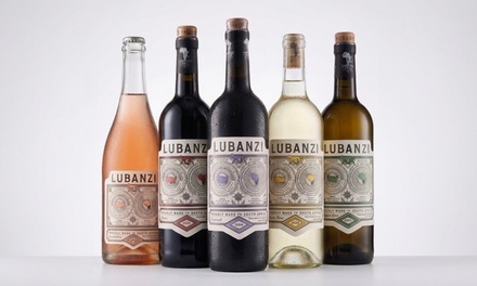 Discover Lubanzi: South African Wine Tasting for Two - Zero Gravity Wine Bar