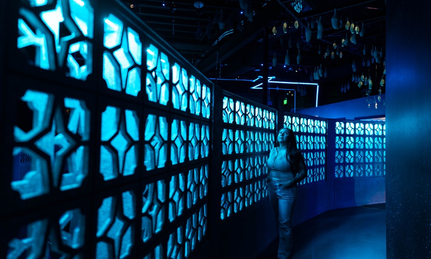 Image 6: FloridaRAMA Museum Admission Deals for Adults & Children