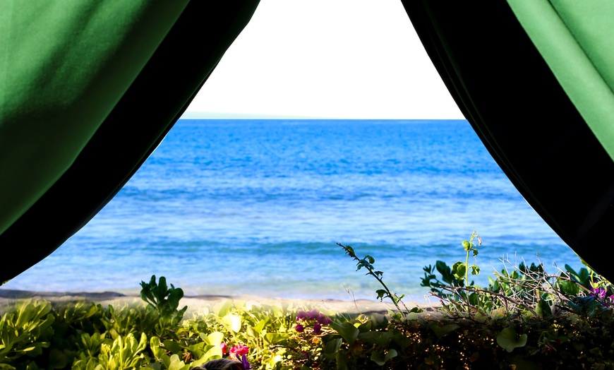 Image 4: Experience Bliss with Massage or Facial Packages at SpaWell!