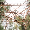 Image 6: Adventure Park Admission at CLAS Ropes Course