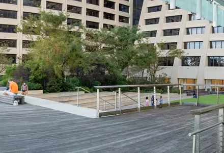 The Elevated Acre