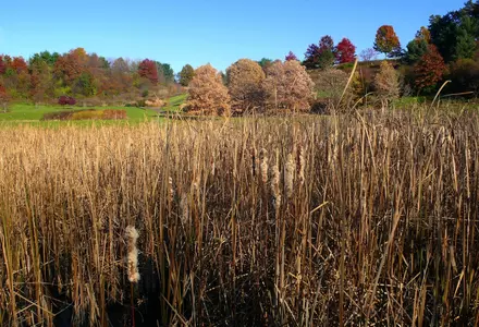 Cornell Botanic Gardens