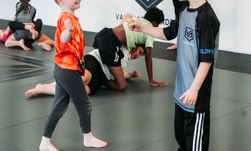 Image 3: Up to 75% Off on Martial Arts Training at Vanguard Academy Jiu Jitsu