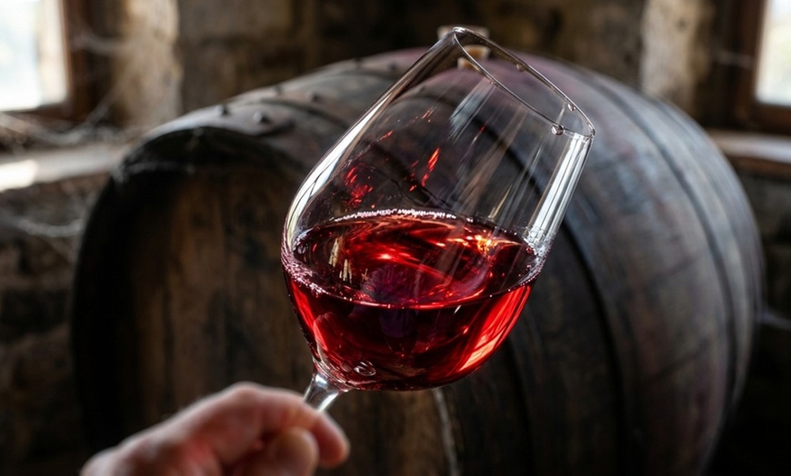 Image 5: Tour and Tasting for Two or Four with Five Samples and a Glass of Wine