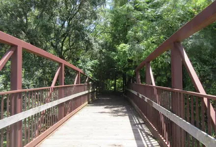 New Orleans City Park