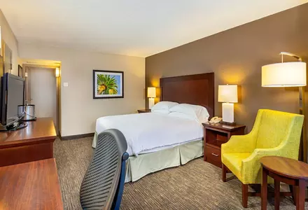1 King Bed, Deluxe Room