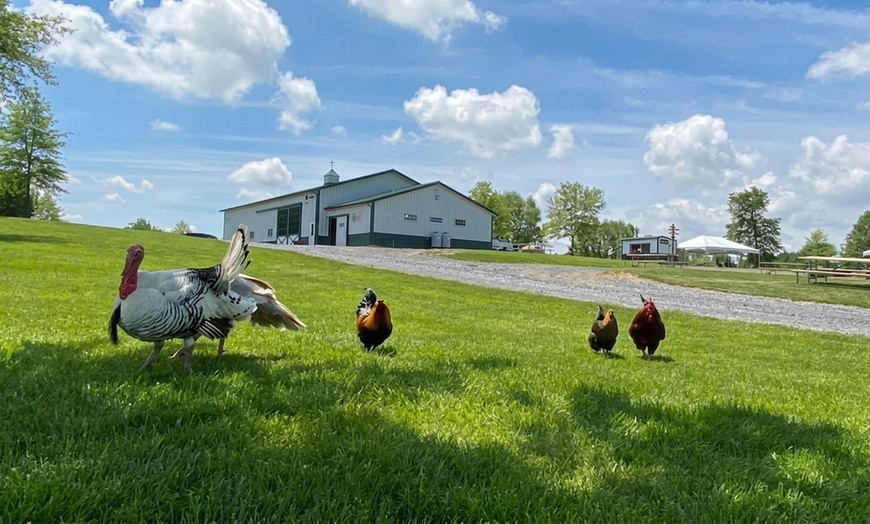 Image 8: Unleash the Fun at Maryland's Green Meadows Petting Farm!
