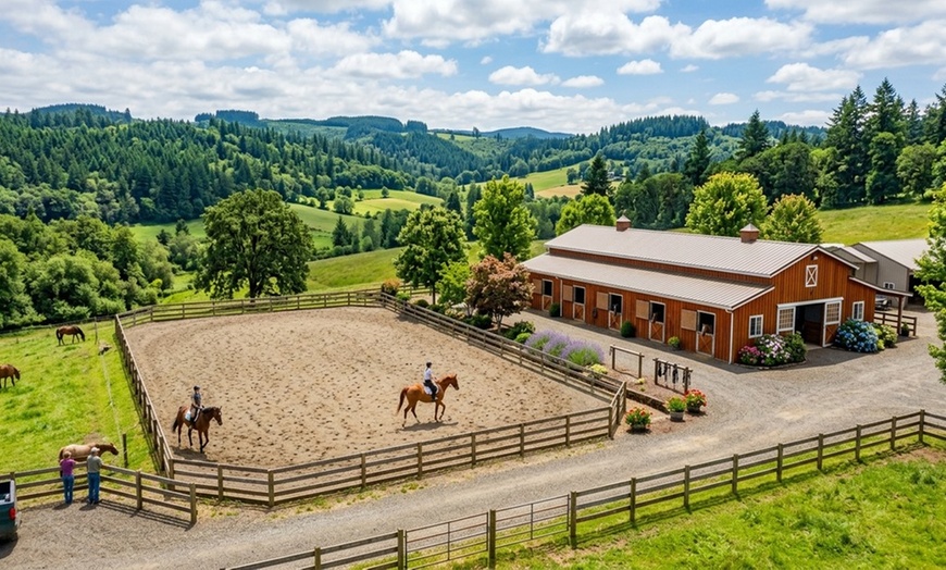 Image 2: Discover Family-Friendly Horseback-Riding Experiences For Everyone!