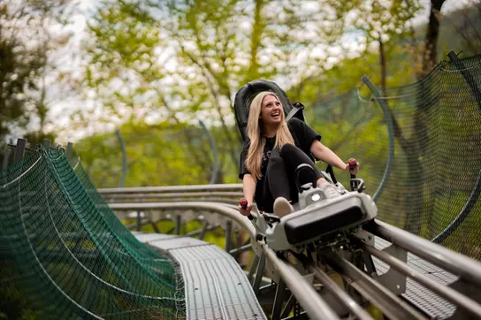 Ripley's Mountain Coaster - Gatlinburg