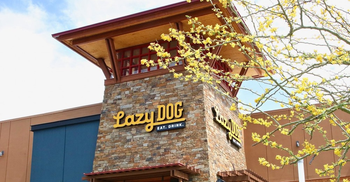 Experience Casual American Dining with a $50 Lazy Dog eGift Card at Lazy Dog Restaurant