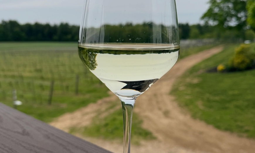 Image 2: Spirit and wine tasting tour for two or four people