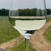 Image 2: Spirit and wine tasting tour for two or four people