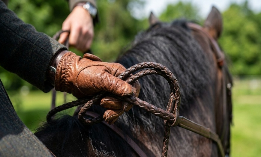 Image 4: Up to 30% Off on Horse Back Riding at Fox View Equestrian LLC