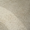 Image 8: Carpet cleaning for up to 5 rooms or upholstery care