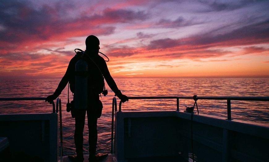 Image 2: Dive Into Adventure with Scuba Diving Class Plus Boat Diving