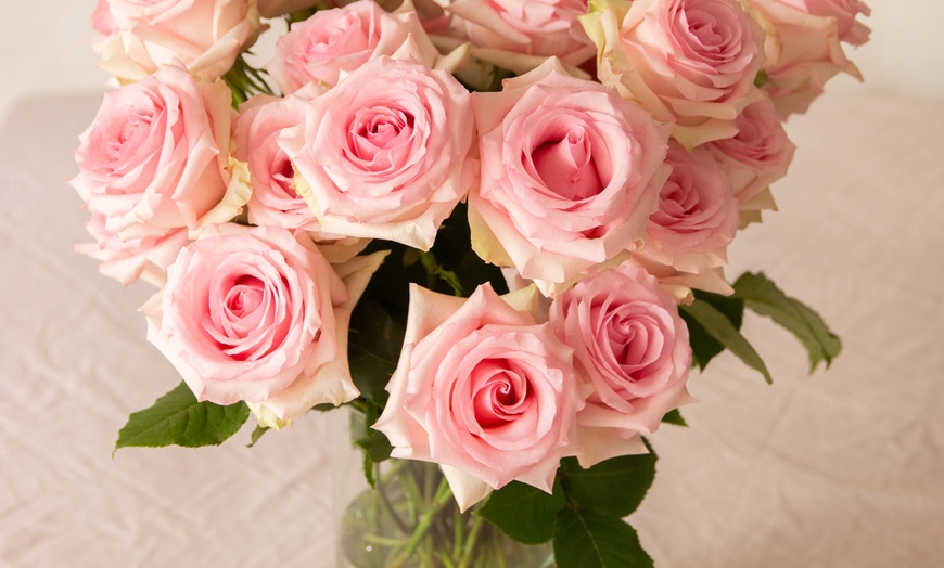 Image 22: *FLASH SALE* 24 or 36ct Roses Luxury Long Stem Rose Bouquet from Rose Farmers | Farm Fresh Roses (Up to 74% Off)