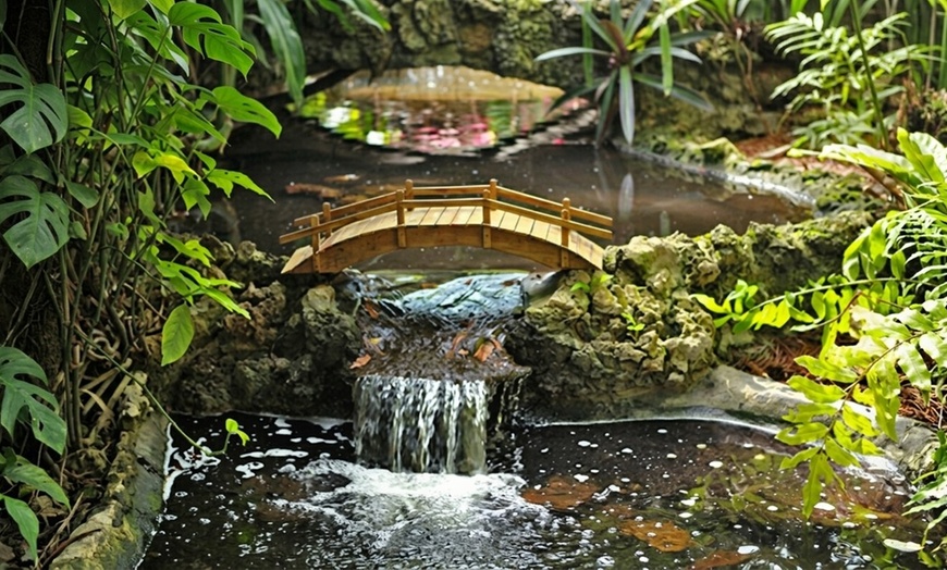 Image 4: Sunken Gardens Admission & Family Membership Deals (Up to 35% Off)