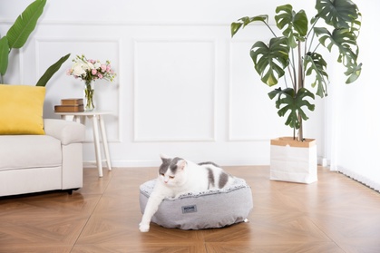 Home Deluxe Home Deluxe Beheizbares Haustierbett COMF - 50 x 50 cm