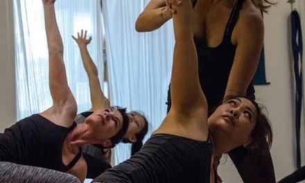 One Month of Group Yoga Sessions - Tara Yoga