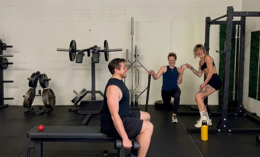Image 2: Two Week Personal Training And Body Analysis