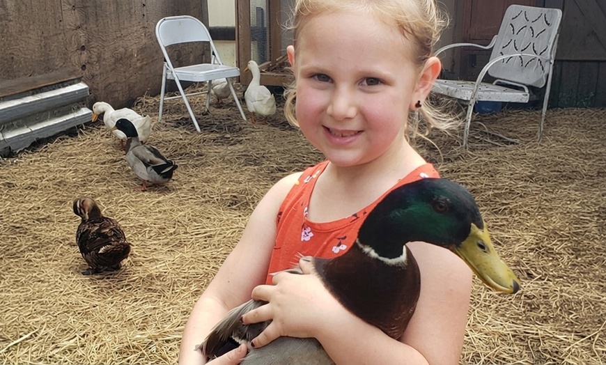 Image 7: Petting Zoo & Pony Ride Adventure – Davie, FL