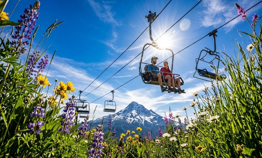 Image 8: Scenic Chairlift Ride for All Ages at Mt. Hood Meadows Ski Resort 