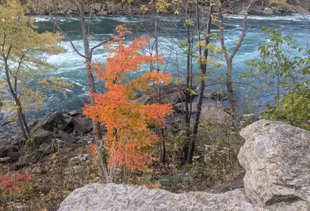 Niagara Falls State Park