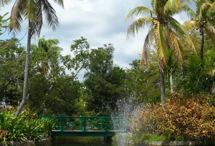 Garden of the Groves