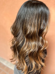 Single Session Tape-In Hair Extensions Application - Alicia Shaller Hair