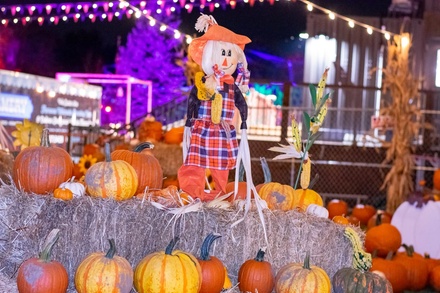 Single Admission Thursday October 1st 8pm - The Forge Adventure Park at Lemont Quarries