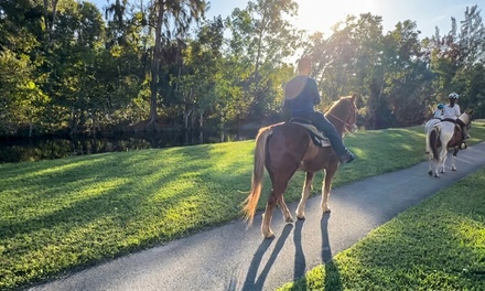 60-Minute Horseback Ride For 1 Person - WB Family Ranch