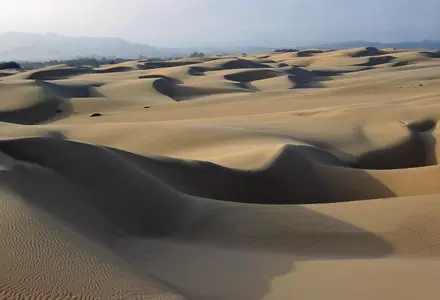Oceano Dunes State Vehicular Recreation Area