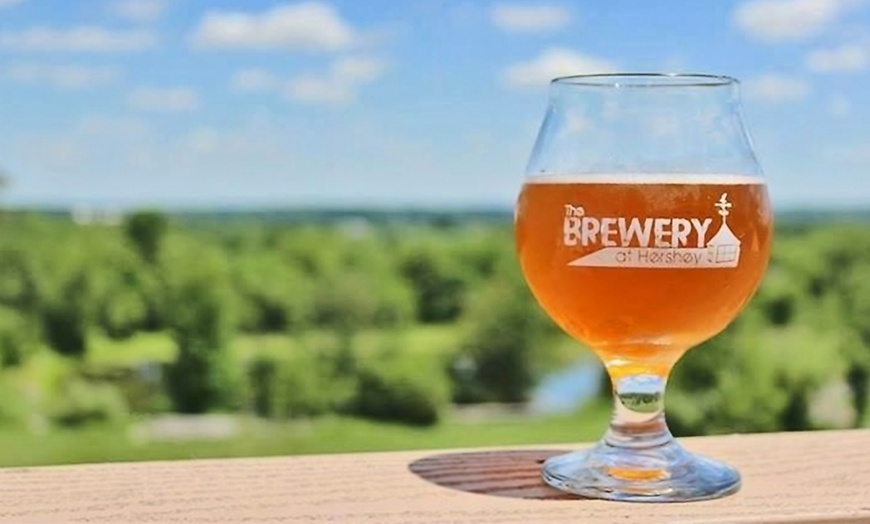 Image 2: VIP Beer Tasting Experience for 2 or 4: Uncover Brewing Secrets