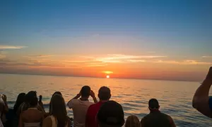 Experience a Sunset Celebration Cruise on the Gulf of Mexico