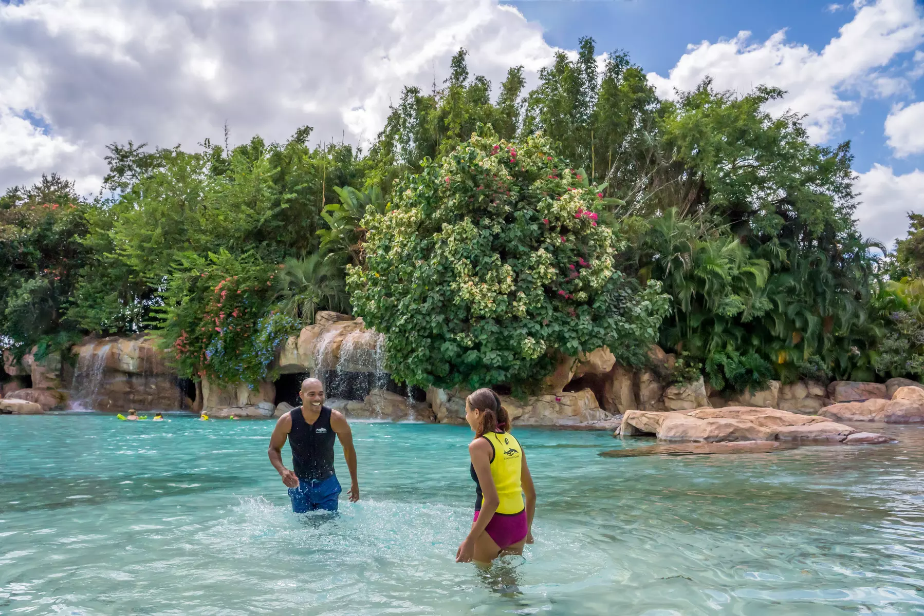 Experience Unforgettable Animal Encounters & All-Inclusive Luxury at Discovery Cove, Orlando's #1 Theme Park