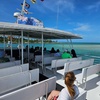 Image 7: 90-Min Sightseeing Cruise: Dolphins, Port Royal Mansions & More